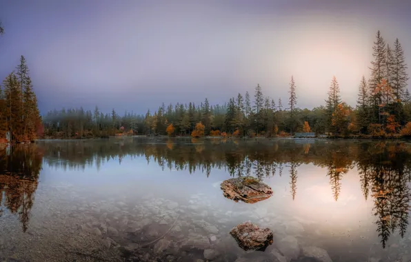 Картинка осень, лес, озеро