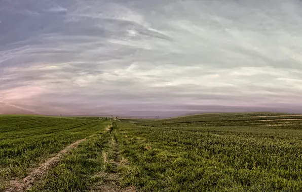 Картинка поле, небо, Природа, sky, field, nature, апрель, april