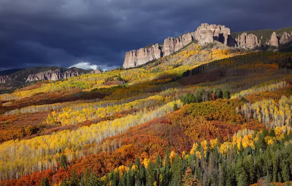 Картинка осень, лес, яркие краски, горы, тучи, скалы, вершины, США