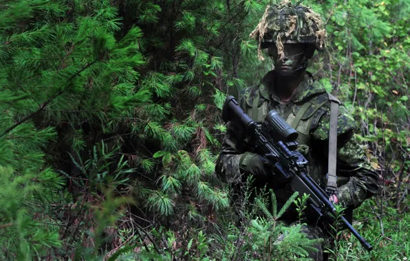 Gun, forest, soldier, weapon, man, sniper, rifle, US Army
