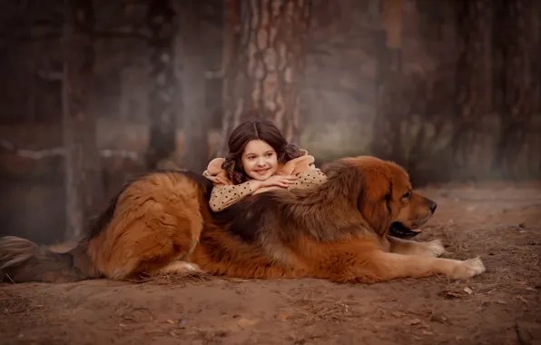 Картинка лес, собака, девочка, друзья, пёс, тибетский мастиф, Валентина Ермилова