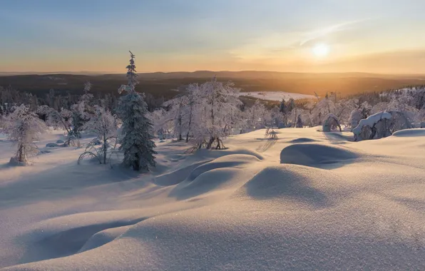 Картинка зима, лес, снег, закат, вечер, Финляндия, Finland, Akaslompolo