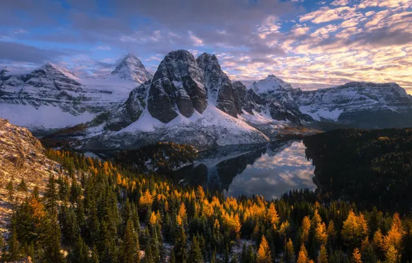 Картинка осень, лес, горы, озеро, Канада, Canada, British Columbia, Британская Колумбия
