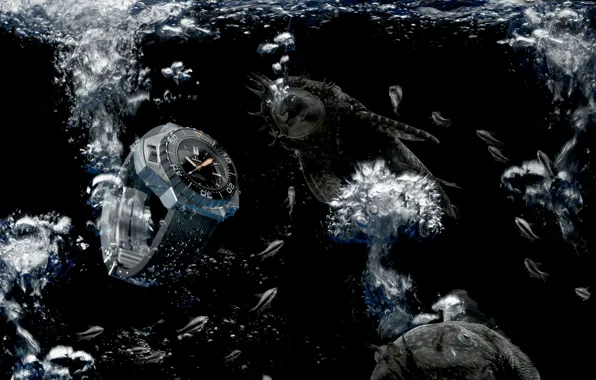 Картинка вода, рыбы, Часы, Omega, Seamaster, 1200M, Ploprof