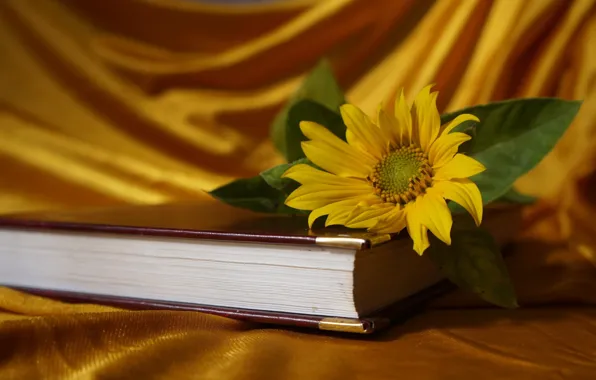 Flower, yellow, book