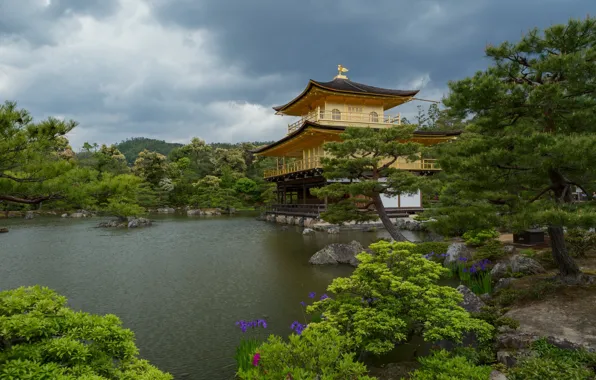 Картинка пейзаж, природа, пруд, парк, растительность, Япония, храм, Киото