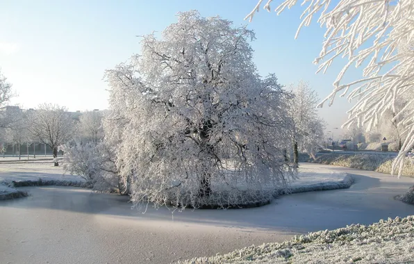 Зима, иней, снег, деревья, парк, река, Природа