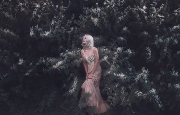 Листья, девушка, платье, Aleah Michele, The white bone of my frame