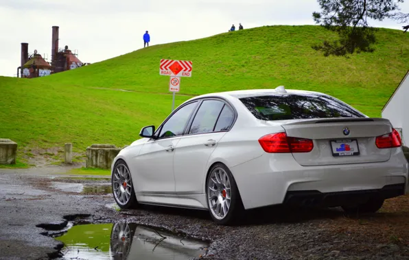 BMW, white, F30, rearside