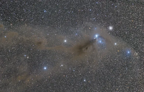 Картинка созвездие, полушария, неба, тусклое, Южная Корона, Corona Australis, южного