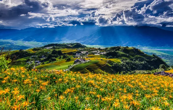 Облака, цветы, горы, China, деревня, панорама, Китай, Тайвань