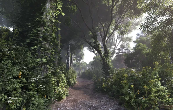 Лето, природа, растительность, тропа, a path