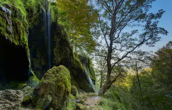Картинка деревья, природа, камни, водопад, мох, Александър Сандев, пейзаж скала