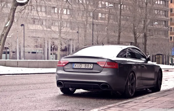 Зима, серый, Audi, RS5