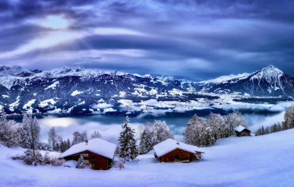Зима, снег, деревья, горы, озеро, Швейцария, деревня, домики