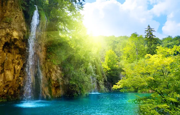 Картинка солнце, деревья, водопад