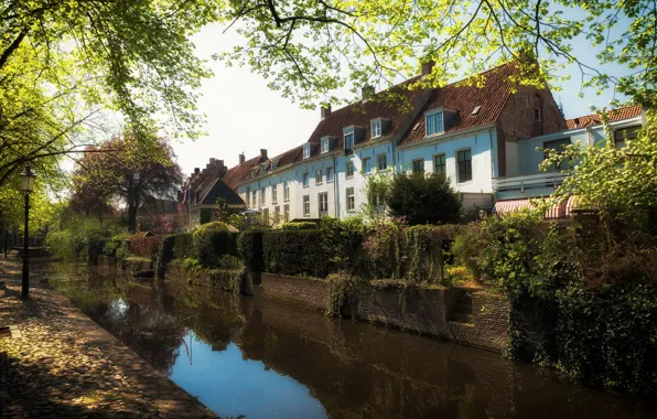 Картинка деревья, дома, Нидерланды, водный канал, Amersfoort