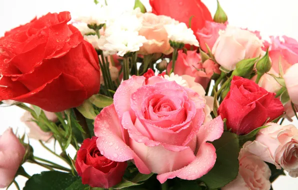 Картинка цветы, красивая, flowers, beautiful, Букет из роз, Bouquet of roses