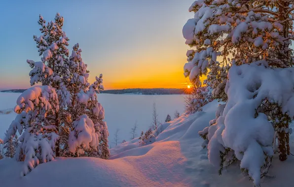 Зима, лучи, снег, деревья, закат, Nevada, Lake Tahoe