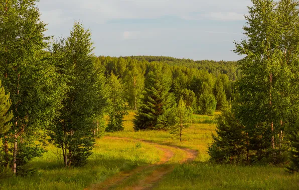 Картинка дорога, поле, лес, небо, облака, деревья, пейзаж, природа