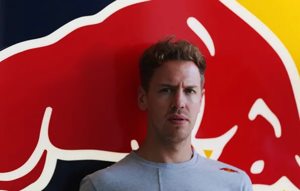 Гонщик, Sebastian Vettel, Чемпион
