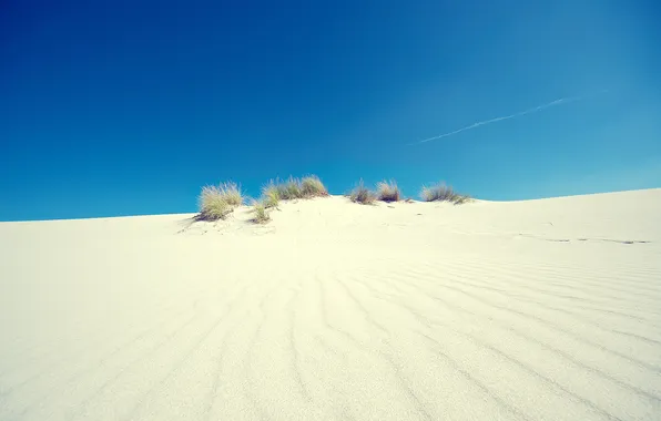 Картинка песок, небо, трава, свет, пейзаж, природа, пустыня, light