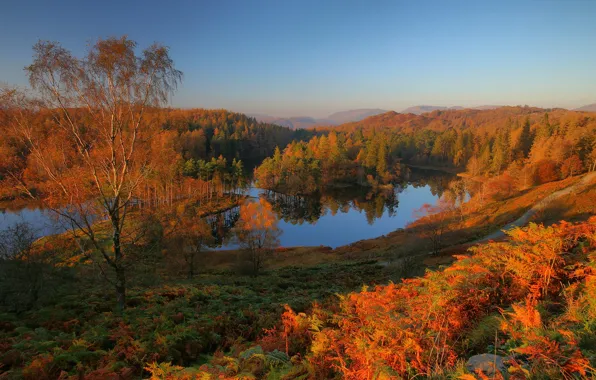 Дорога, осень, лес, свет, деревья, пейзаж, горы, природа