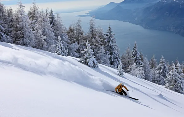 Картинка снег, спуск, лыжи, экстрим, лыжник