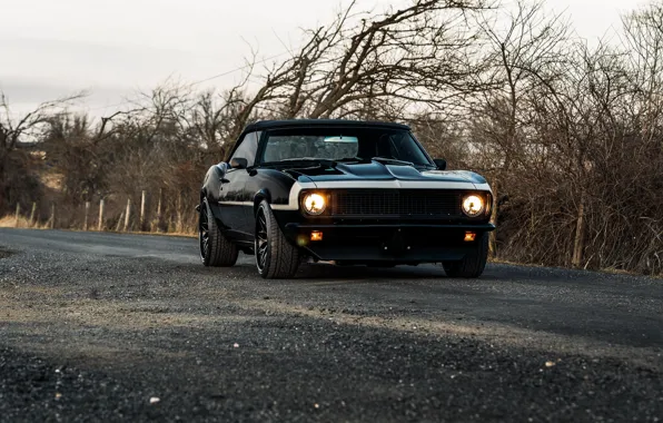 Стиль, camaro, chevrolet, передок