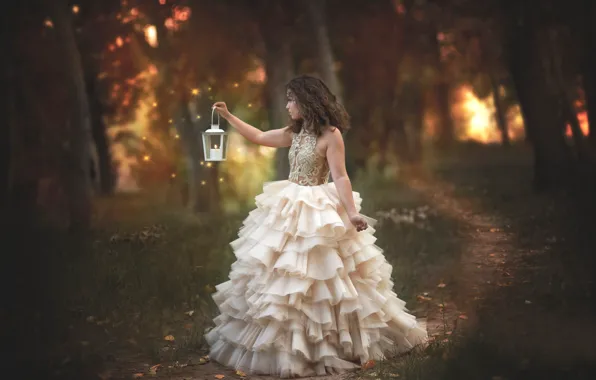 Картинка лес, девушка, настроение, огоньки, платье, фонарик, тропинка