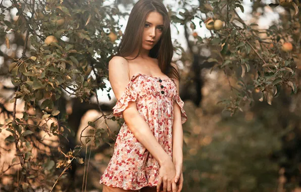 Картинка яблоки, Девушка, платье, Олег Коваленко