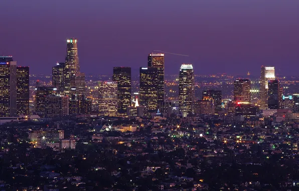 Деревья, ночь, небоскребы, горизонт, Лос-Анджелес, Los Angeles, длинная экспозиция
