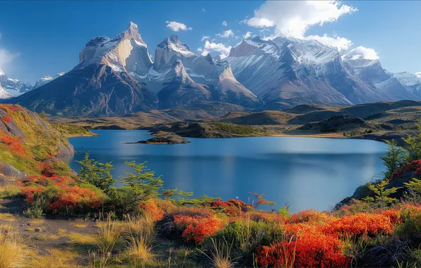 Пейзаж, цветы, горы, природа, озеро, красота, весна, Nature