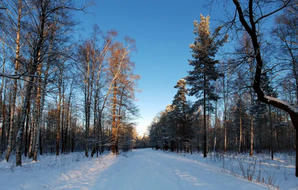 Картинка зима, дорога, небо, снег, деревья