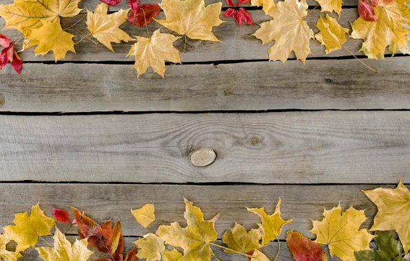 Осень, листья, фон, дерево, доски, colorful, клен, wood