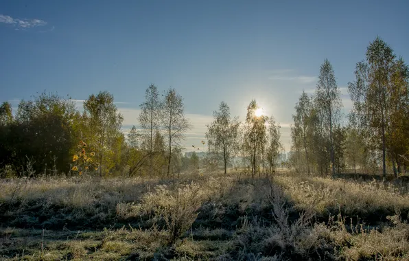 Осень, пейзаж nature, рассвет солнце, утро лучи солнца