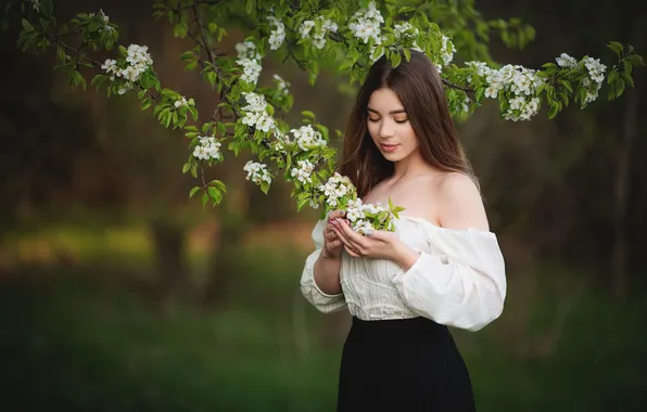 Картинка девушка, ветки, поза, весна, руки, блузка, цветение, плечо
