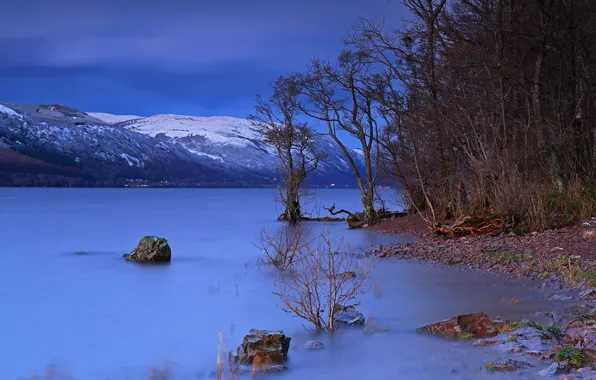 Деревья, пейзаж, ночь, озеро