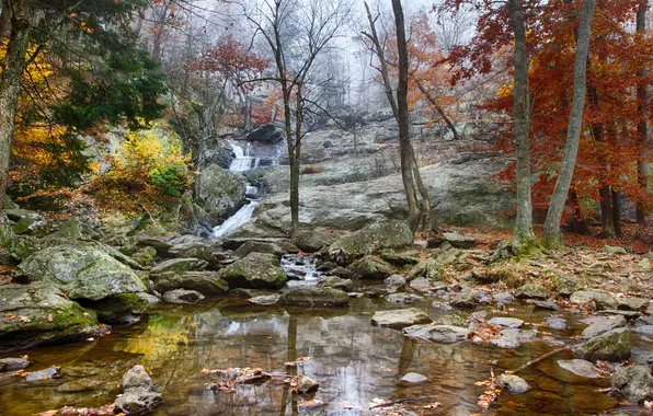 Картинка осень, лес, деревья, ручей, камни, скалы