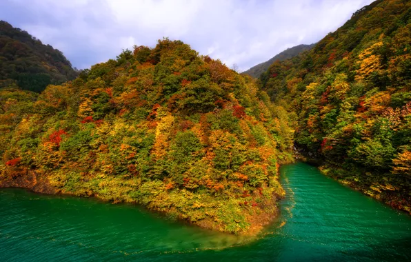 Картинка осень, лес, горы, озеро, Япония, Тазава