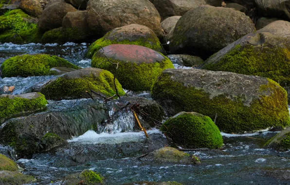 River, water, stones, moss