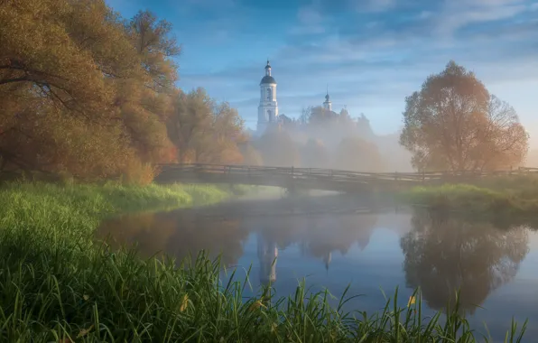 Картинка осень, трава, деревья, пейзаж, природа, туман, село, утро