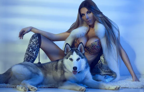 Грудь, взгляд, девушка, поза, животное, модель, белье, собака