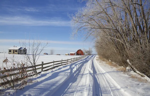 Картинка зима, дорога, снег, деревья, дом, забор, Канада, Альберта