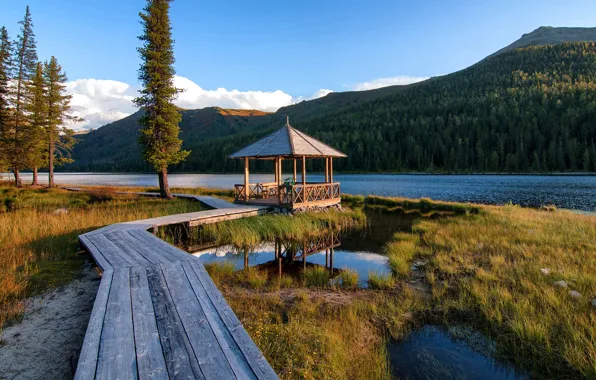 Картинка лес, небо, трава, облака, деревья, горы, природа, озеро