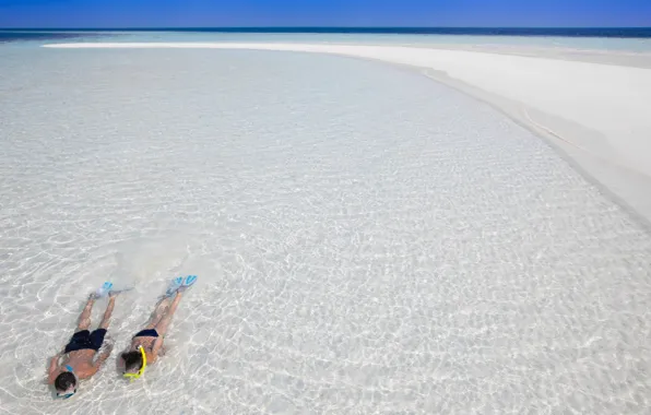 Ocean, water, couple, swimming, transparency, snorkeling
