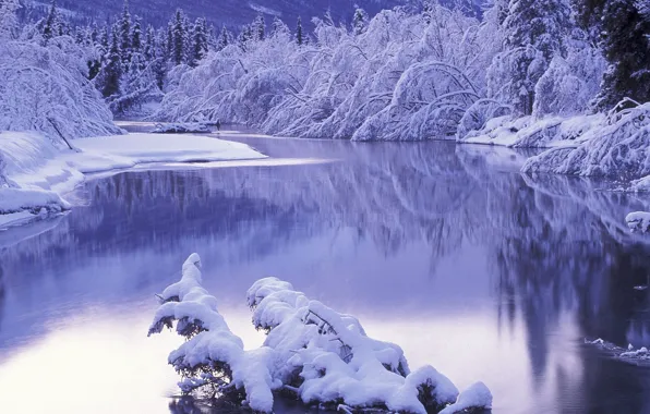 Зима, снег, пейзаж, река, зимний