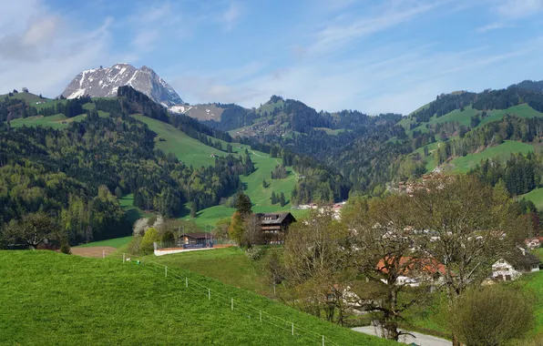 Пейзаж, горы, природа, Швейцария, Gruyere, Moleson