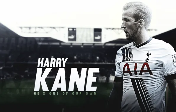 Wallpaper, sport, logo, football, player, Tottenham Hotspur, Hurry Kane