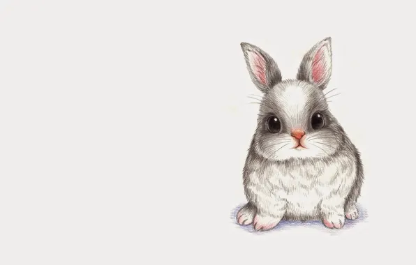 Картинка животные, рисунок, кролик, малыш, арт, карандаш, зайчик, детская